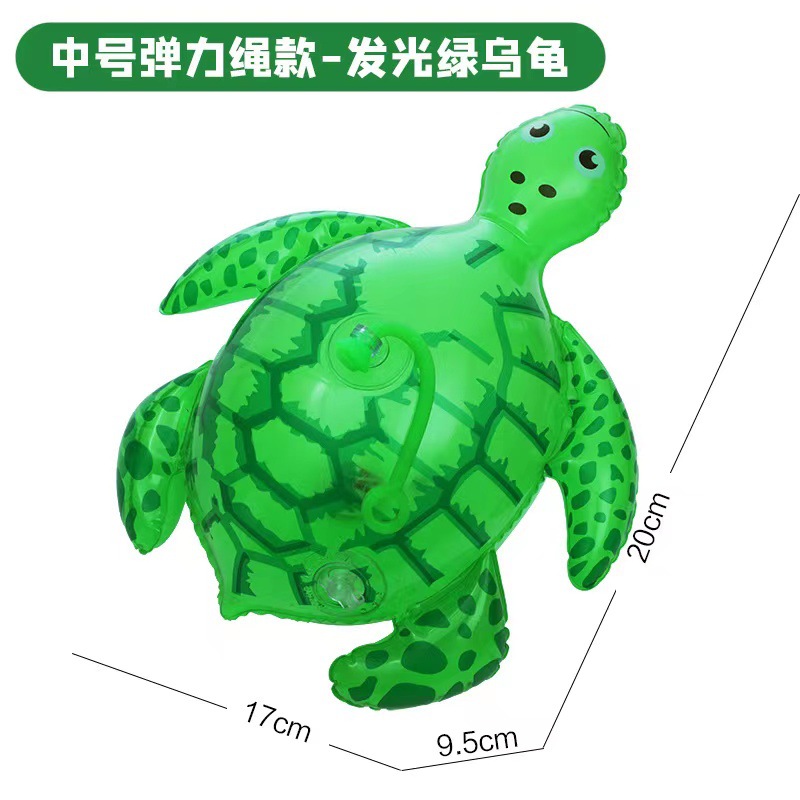 Medium-sized turtle