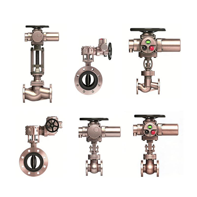 Electric Actuator with Valves