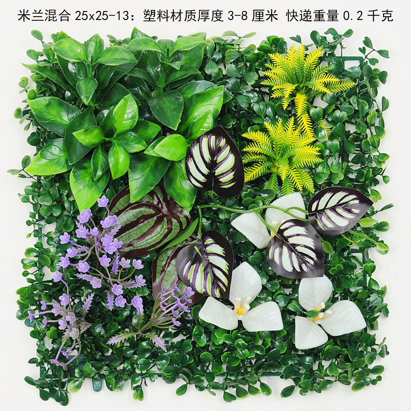 25x25 cm herbe de Milan mixte-13
