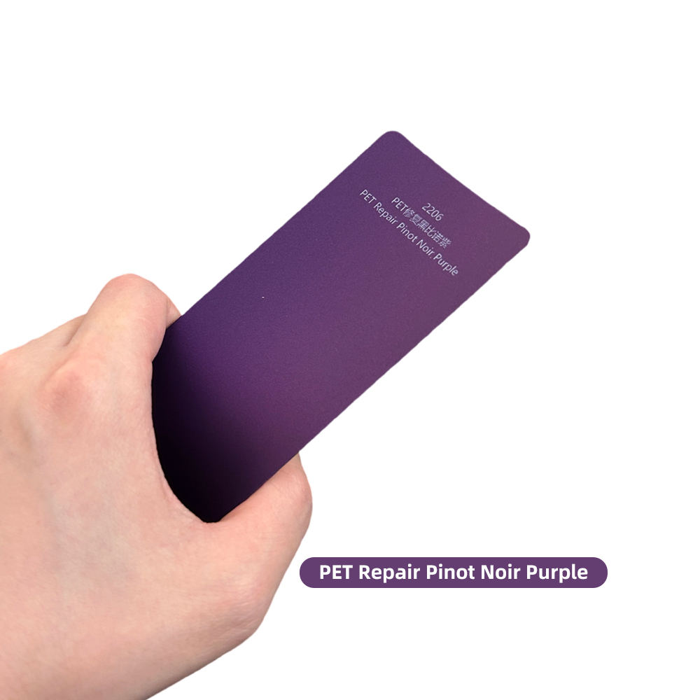 PET-Réparation Pinot Noir Pourpre