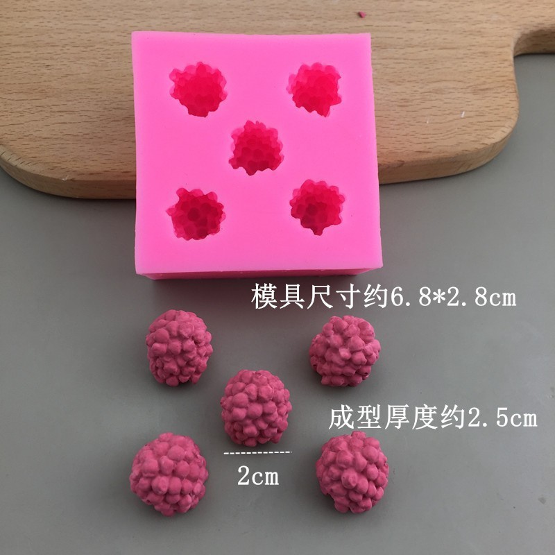 Extra Large 5-Hole Raspberry Pi Mold