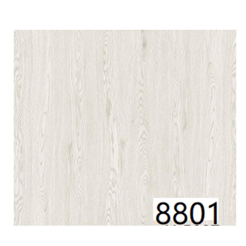 8801