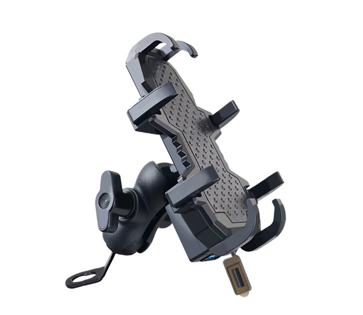 Mirror Mount with Charger