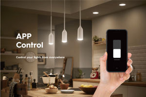 Intelligenter WLAN-Schalter mit Alexa & WLAN-Netzwerk – Tuya-Smart-Home-Wandschalter - Product Image 2