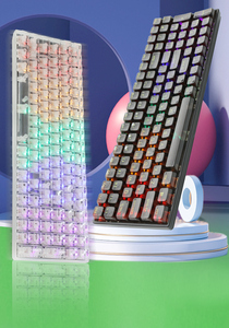 CSX Hot Sales 100 <strong>Keys</strong> Mechanical <strong>Keyboard</strong> Wired RGB <strong>Light</strong> Backlit LED PC <strong>Computer</strong> Gamer Gaming Transparent <strong>Keyboard</strong> - Product Image 3