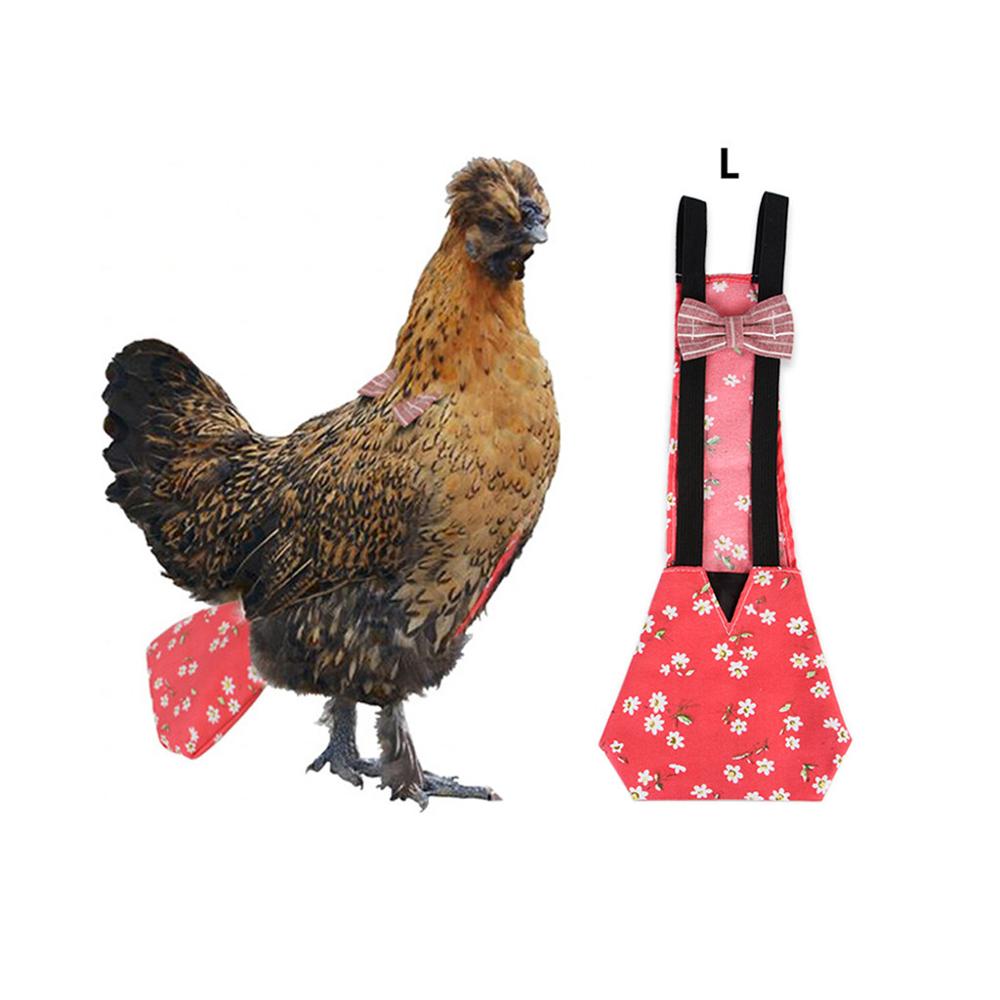 Couche de poulet rouge
