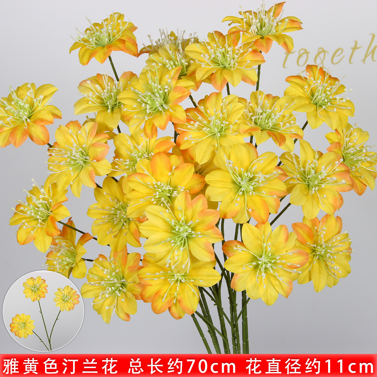 Tiges d'orchidées dendrobium jaunâtres à 3 tiges