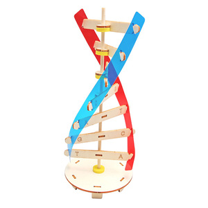 DNA çift sarmal yapısı modeli teknolojisi küçük el yapımı diy İnsan gen biyolojik bilim deney ekipmanları DNA modeli - Product Image 4