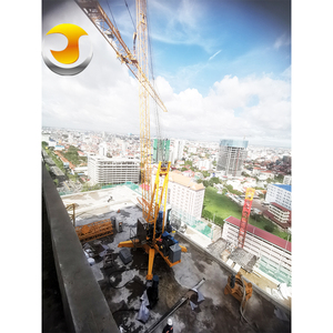 6 Ton Roof <strong>Derrick</strong> Crane the Premier Choice for Tower Crane Demolition on Complex Building Sites