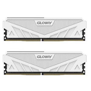 Gloway RAM Desktop Computer Memory Stick Desktop Weiß DDR5 32GB 5600MHz DIMM Cl46 Xmp Dual Memory Package - Product Image 1