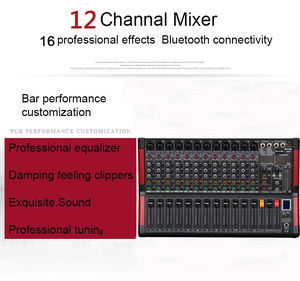 GAX-M12 Factory 12 Channels <strong>Pro</strong> Audio <strong>Mixer</strong> With Digital Reverberation Effect for Performance Party Recording Audio Equipment