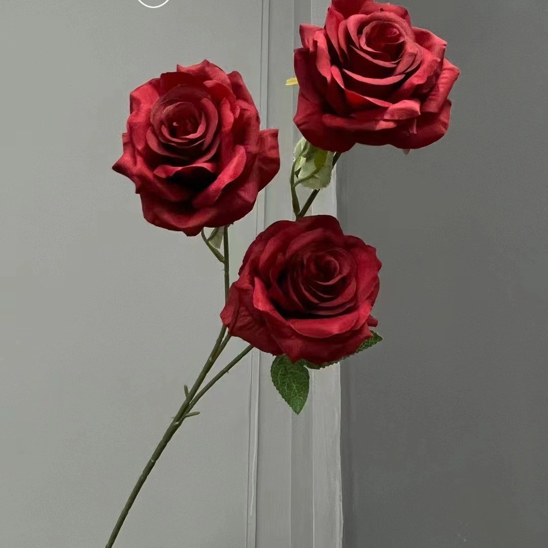 1# 3 rose: sconsigliate per uso esterno