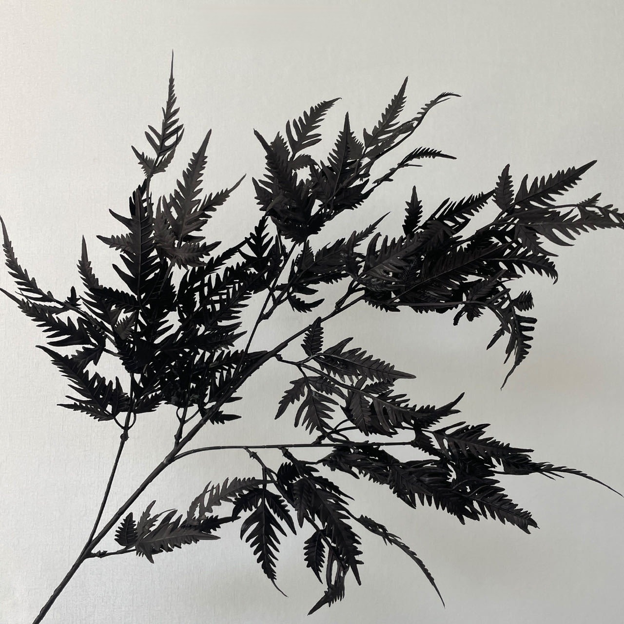 SPR-DZ-BLACK-N