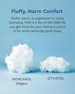 Tất cả các mùa Breathable Twin thêm dài cao cấp mềm sợi nhỏ xuống thay thế Reversible Quilted Comforter - Product Image 4