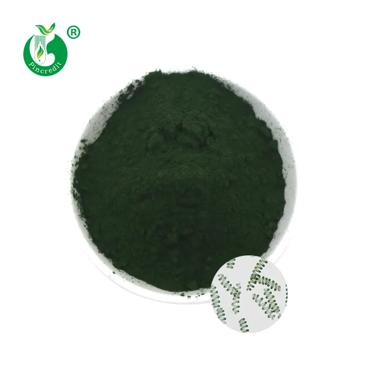 OEM özel etiket Spirulina % 100% saf toplu organik Spirulina tozu satılık