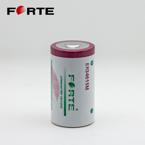 Er 34615M Forte Er34615 M <span class=keywords><strong>3</strong></span>.6V 14.5ah Lithium Primaire Batterij Li-SOCl2 Batterij - Product Image 4