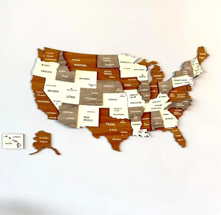 Stati Uniti d'America decorazione della parete in legno polonia USA Traveller mappa mondi 3D in legno mappa USA