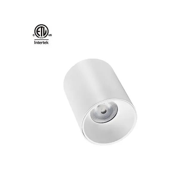 SZDAYTON Đèn Âm Trần COB Led Gắn Bề Mặt Dải Công Suất Rộng Dòng D IP65 Đèn Âm Trần Hình Trụ 15W-90W