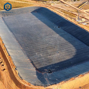 Singapur'da baraj gölü projesi için geomembran HDPE 1000 mikron atık muhafaza geomembran - Product Image 2