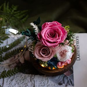 गर्म वैलेंटाइन्स डे उपहार शाश्वत वास्तविक गुलाब के अनन्त बेला नए उत्पाद विचार 2025 हमेशा के लिए नए उत्पाद विचार ग्लास गुंबद में संरक्षित फूल गुलाब - Product Image 2