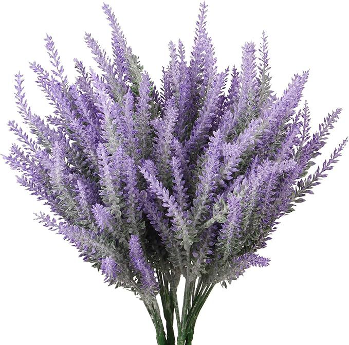 Pourpre