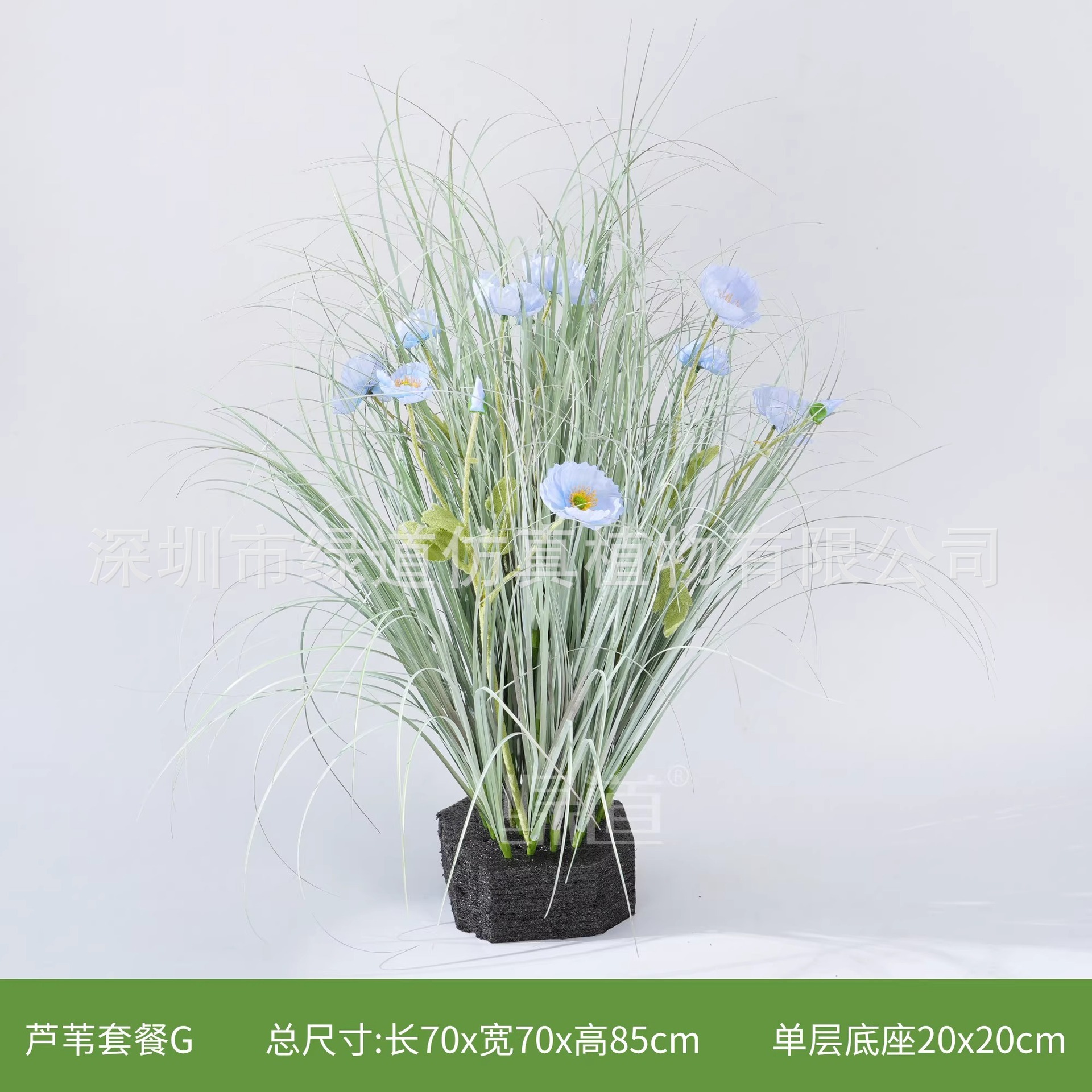 Reed G