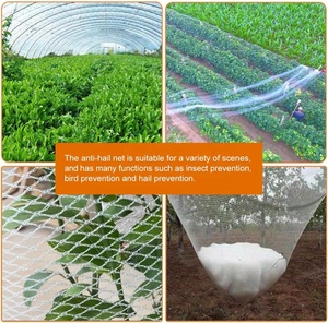 Red de jardín para cubierta de insectos e insectos para pájaros, mosquitera de tela de malla blanca de varios tamaños para protección de frutas y verduras