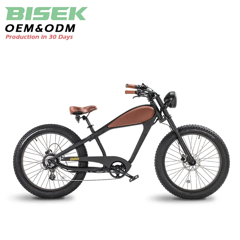OEM vendita calda Bisek moto elettrica bici elettrica 36V/48V motore fresco progettato grasso pneumatico bicicletta elettrica per adulti