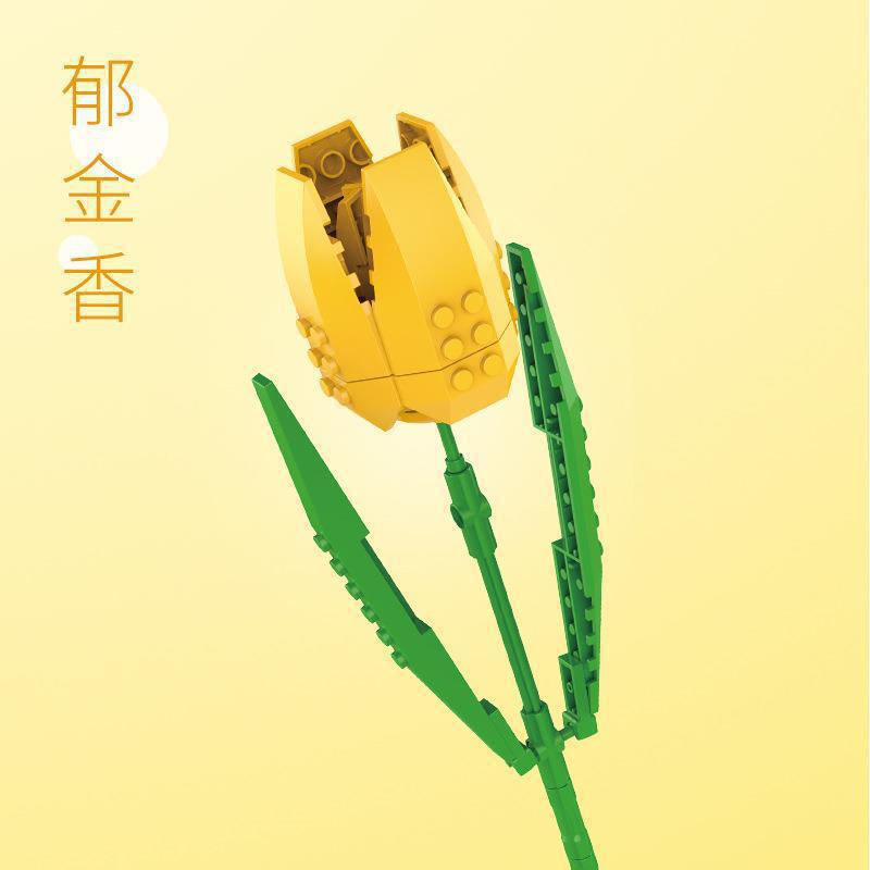 JK2620 ทิวลิป