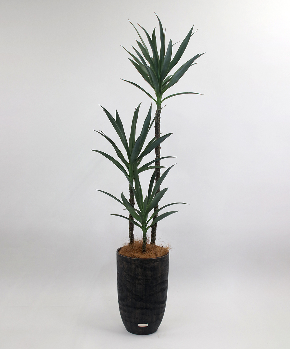 Vol.6สีเขียวดีไซน์เทียม