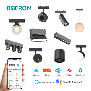 Đèn ray từ tính điều chỉnh độ sáng thông minh WIFI Tuya Zigbee, đèn LED chiếu điểm điều chỉnh được, đèn ray LED có thể điều chỉnh độ sáng - Product Image 2