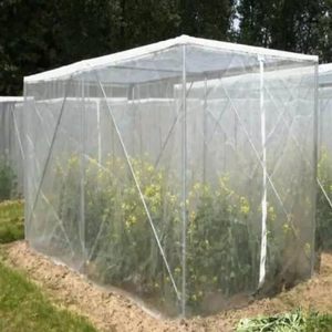 Green Fine <strong>Mesh</strong> Insect Protection <strong>Net</strong> for Fruits and Vegetables Garden Pest Control Use Anti Insect Netting