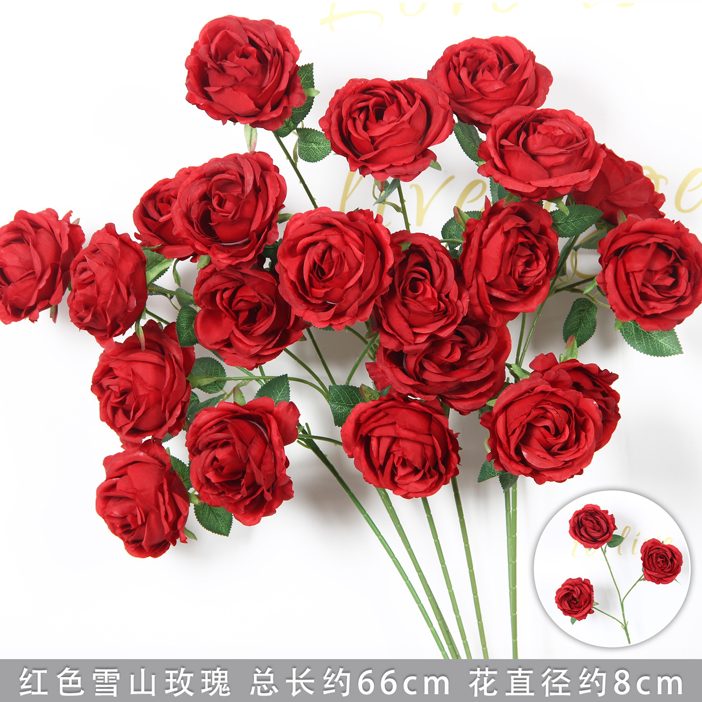 Red Snow Mountain Rose Branch