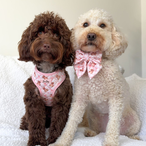 SinSky Printed <strong>Dog</strong> <strong>Harness</strong> Set Custom Design Soft Quilted <strong>Dog</strong> <strong>Harness</strong> and Leash Set Personalized Logo Luxury <strong>Pet</strong> <strong>Dog</strong> <strong>Harness</strong> - Product Image 2