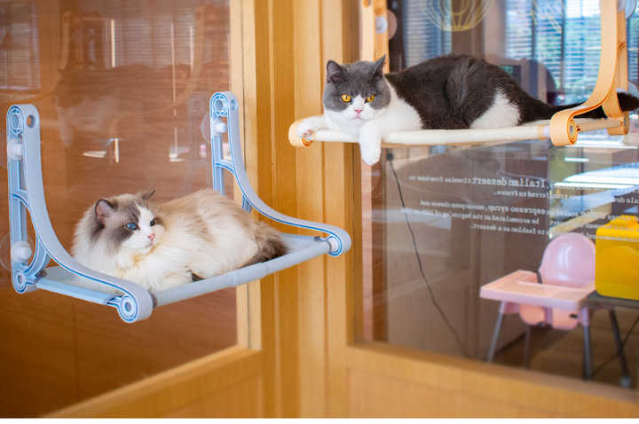 Cat Products with Soft Plush Metal Frame Cat Radiator Cat Bed Window Hammock