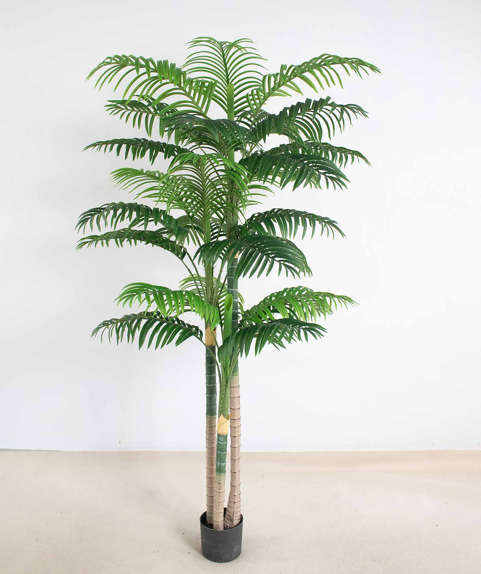 210cm