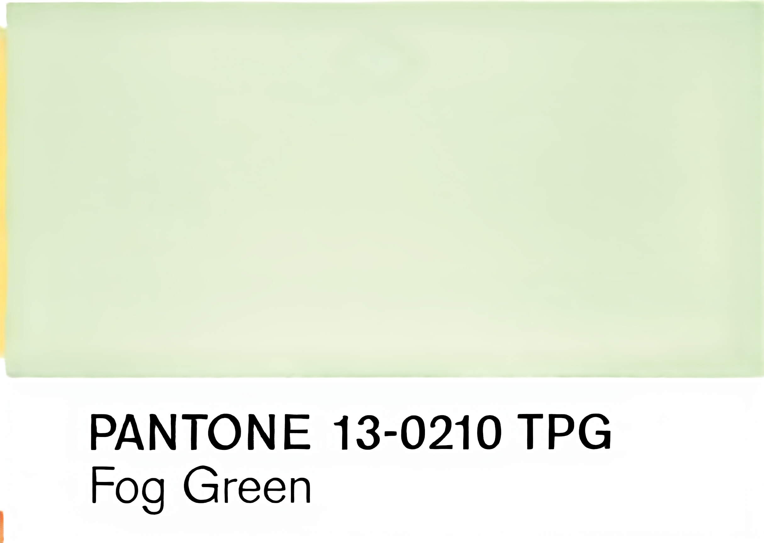 Fog Green