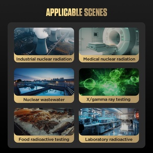 Elektronisch Kaufen ND300 X Ray Geiger Muller Zähler Dosimeter Persönliche Strahlung Gamma strahl detektor Reader Überwachungs geräte - Product Image 5