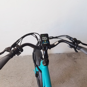 OEM <strong>Dual</strong> 48v 15ah Lithium Battery Electric Cargo Bikes 2-Wheeled Bicycle 60km Range Per Power Aluminum Alloy Frame 250w - Product Image 2