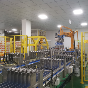 Lwt Secondary Packaging <strong>System</strong> <strong>Automatic</strong> Paper Boxes Carton <strong>Robotic</strong> Case Packing Packer <strong>Machine</strong> - Product Image 6