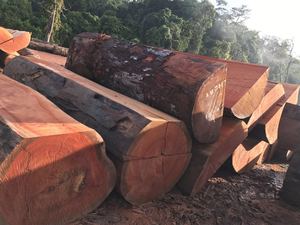 Sawn Lumber, Smooth Surface Cutting Blanks of Padouk, African Hardwood and <strong>Redwood</strong> - Product Image 5