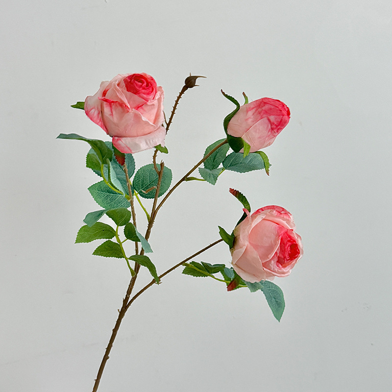 3 rosa claro