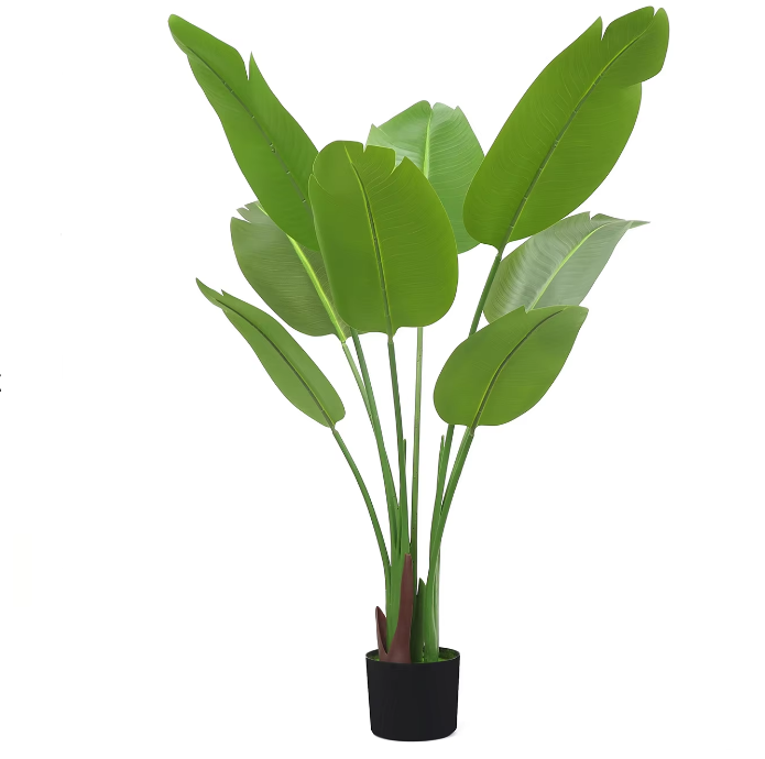 Banane voyageuse 120 cm