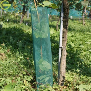 Top class colorato di Plastica Della Maglia Albero di Protezione con uv - Product Image 5