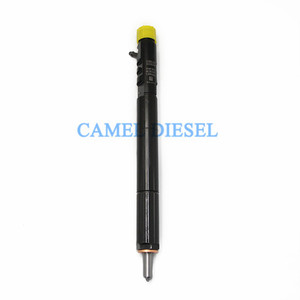Dizel yakıt yüksek basınçlı enjektör EJBR04501D EJBR04601D EJBR02601Z EJBR04401D - Product Image 1