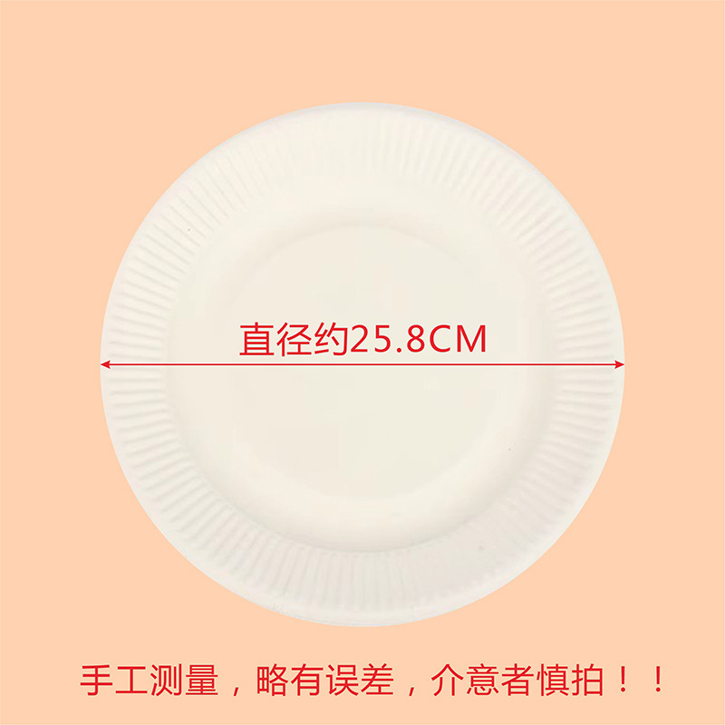 10-inch paper plate (approximately 25cm in diameter)