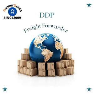 Shenzhen Sea Freight Shipping Agent Import From China Ddp Delivery Door to Door From China to Uae Global Sea Logistics Service - Product Image 3