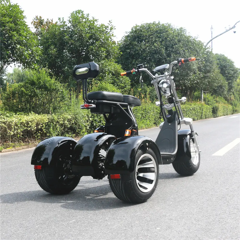 1000w 2000w 60v12AH/20ah double seats citycoco scooters 3 rued electr adult 3 wheel motorcycle electric