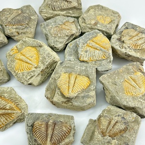 Wholesale Natural High Quality Hand Carved <strong>fossil</strong> Stone Crystal Carvings Animals <strong>fossil</strong> Stone for Home Decoration