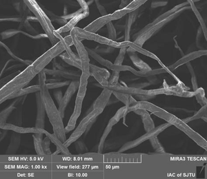 油断液ろ過化学補助剤用直接微結晶セルロースフィルター補助 - Product Image 6